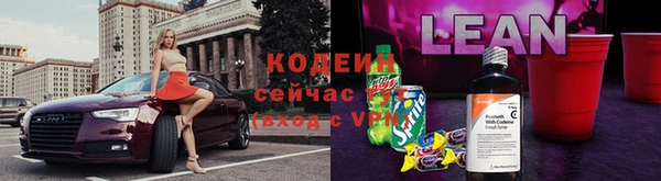 соль ск Горно-Алтайск