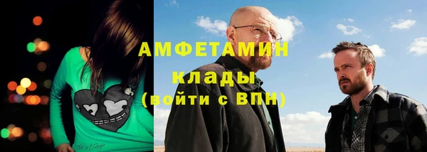 сатива Горнозаводск