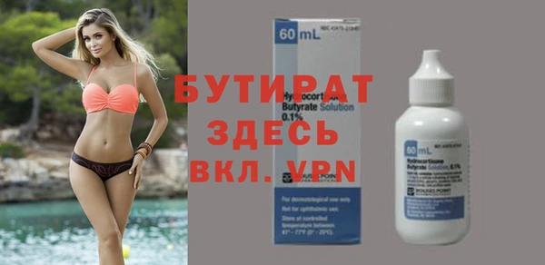 сатива Ельня