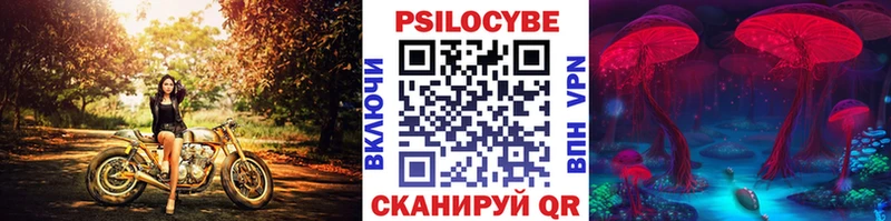 Псилоцибиновые грибы мухоморы  Александров 